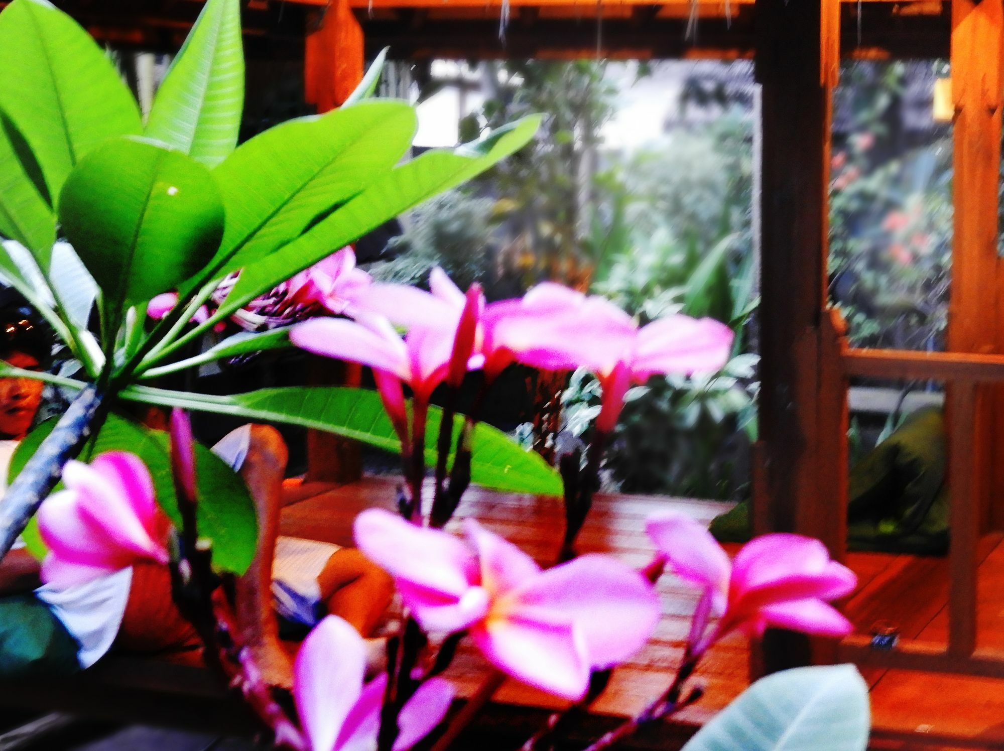 Toro Toro Bungalow Gili Air Buitenkant foto